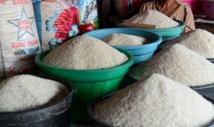 Kepala Bapanas: Program Bansos Tak Sebabkan Kenaikan Harga dan Berkurangnya Stok Beras