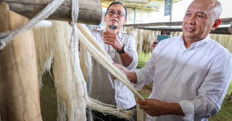 Menteri Koperasi dan UKM Teten Masduki Dorong Pengembangan Serat Rami untuk Industri Tekstil Indonesia