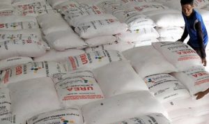 Pemerintah Provinsi Riau Dapatkan Alokasi Tambahan Pupuk Bersubsidi untuk Mendorong Swasembada Pangan