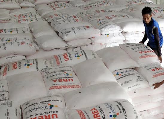Pemerintah Provinsi Riau Dapatkan Alokasi Tambahan Pupuk Bersubsidi untuk Mendorong Swasembada Pangan