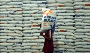 Pemerintah Punya Ruang Besar untuk Shock Absorber Harga Beras