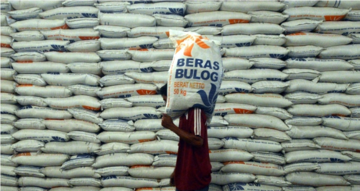 Pemerintah Punya Ruang Besar untuk Shock Absorber Harga Beras
