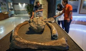 Transformasi Museum dan Cagar Budaya Berfokus pada Pendekatan 3R