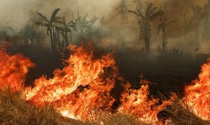 Sumber: kompas.com, detik.com