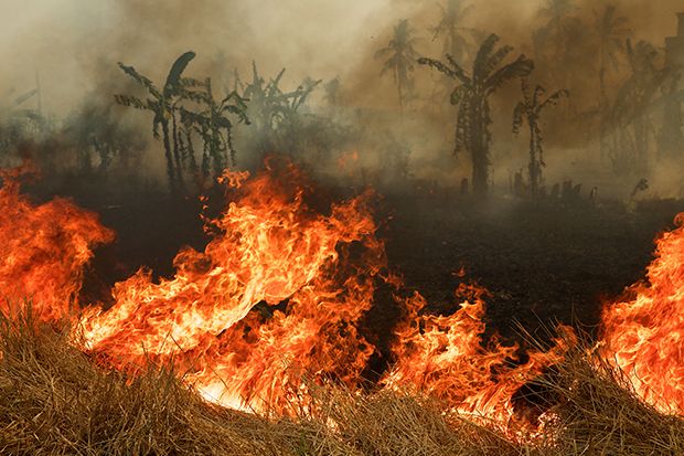 Sumber: kompas.com, detik.com