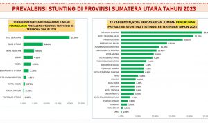 Skema perbandingan penurunan Stunting di Sumatera Utara. Foto : BP/Ist