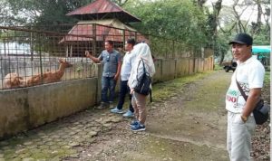 Pengunjung terlihat menyaksikan beberapa jenis binatang dan satwa di Medan Zoo. BP/erwan