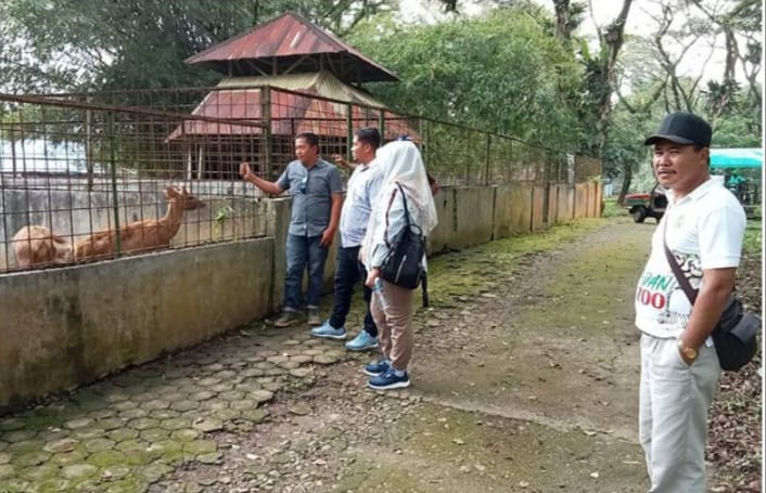 Pengunjung terlihat menyaksikan beberapa jenis binatang dan satwa di Medan Zoo. BP/erwan