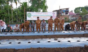 Pj Wali Kota Padangsidimpuan Letnan Dalimunthe saat mengikuti pertanaman Cabai Merah di Kelurahan Hutaimbaru Kecamatan Padangsidimpuan Hutaimbaru, Senin (22/4-24). Foto : BP/Ist