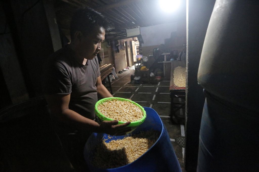 Impor Biji-bijian China Mencatat Pertumbuhan Stabil pada Awal Tahun 2024