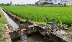 Kementerian Pertanian Dorong Modernisasi Irigasi demi Swasembada Pangan