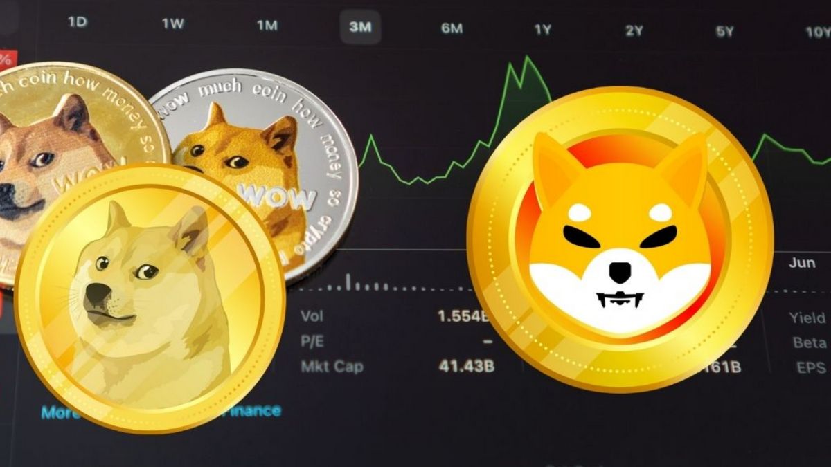 Harga Shiba Inu Terjun Bebas, Analis Melihat Peluang Pembelian