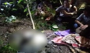 Warga Lubuk Linggau Ditemukan Tewas di Kebun Karet
