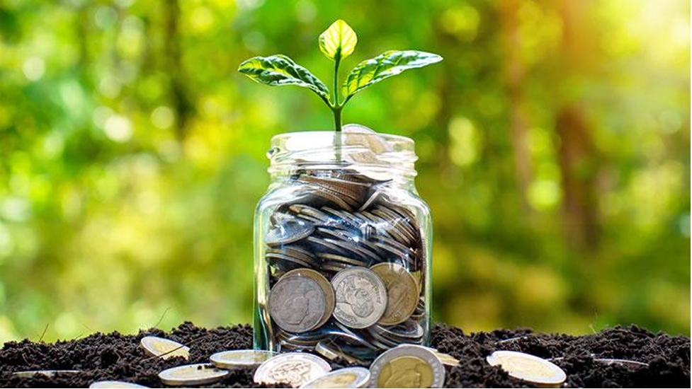 Kebiasaan Menabung: Kunci Menuju Keamanan Finansial
