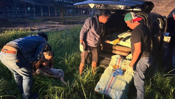 Oknum Polisi Ditangkap BNNP Sumbar karena Bawa Ganja 141,7 Kilogram