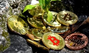 Harga Bitcoin Naik Tipis Karena Pelemahan Dolar AS dan Spekulasi Suku Bunga