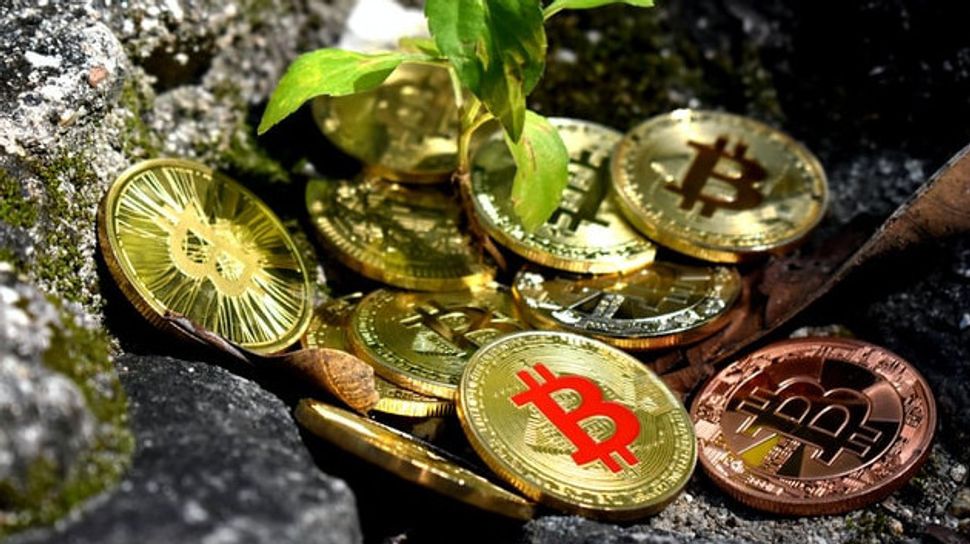 Harga Bitcoin Naik Tipis Karena Pelemahan Dolar AS dan Spekulasi Suku Bunga
