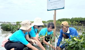 J Trust Bank Tanam 1.000 Bibit Mangrove untuk Mitigasi Perubahan Iklim