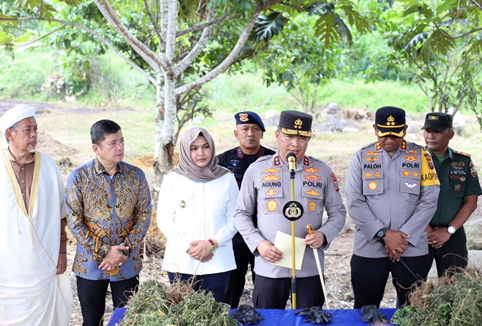 Penemuan Ladang Ganja di Madina dengan Alat Canggih BRIN
