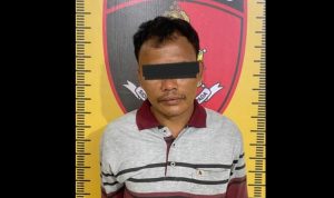 Pria di Sergai Ditangkap karena Curi 300 Ekor Bebek