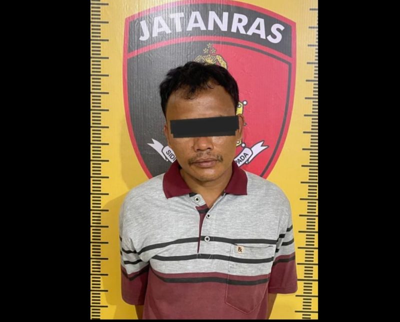 Pria di Sergai Ditangkap karena Curi 300 Ekor Bebek