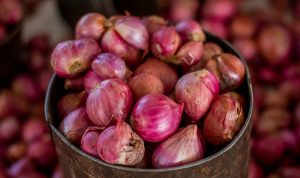 Program Gerakan Pangan Murah Bawang Merah Dukung Kestabilan Harga