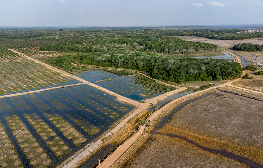 Sumsel Alami Inflasi Bulanan 0,43 Persen di Bulan April 2024
