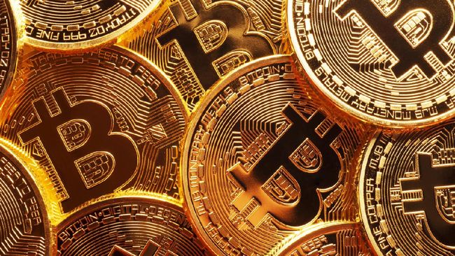 Pando Coin: Revolusi Budaya Hadiah di Lingkungan Penjelajahan