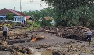 pencarian korban banjir Sumbar, banjir bandang Sumbar, anjing pelacak, pencarian korban lahar dingin, Tanah Datar, Agam