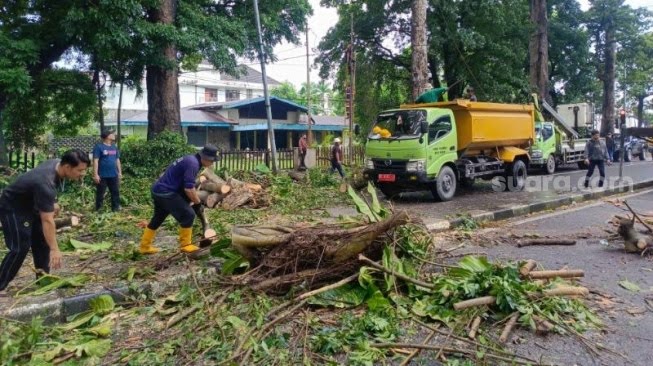 Petugas mengevakuasi pohon tumbang di Jalan Imam Bonjol Medan.