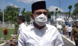 Ilustrasi Edy rahmayed