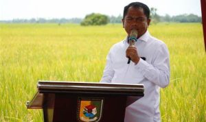 Darma wijaya kandidat calon wakil Bobby Nasution pilgub Sumut
