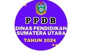 Pengumuman PPDB Medan 2024