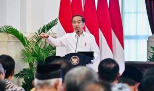 Presiden Joko Widodo mengungkapkan bahwa lebih dari 300 kabupaten/kota dan beberapa provinsi telah mengajukan permintaan untuk menjadi DOB.