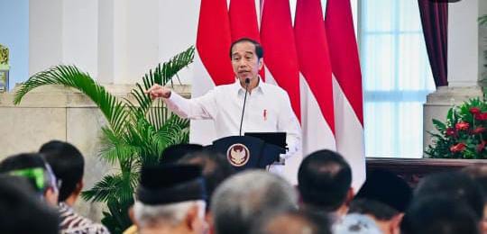 Presiden Joko Widodo mengungkapkan bahwa lebih dari 300 kabupaten/kota dan beberapa provinsi telah mengajukan permintaan untuk menjadi DOB.