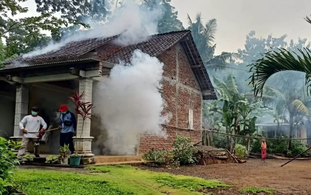 BERASAP: Petugas memfogging rumah warga untuk memutus mata rantai nyamuk DBD. (DINKESDALDUK KB TRENGGALEK UNTUK RADAR TRENGGALEK)