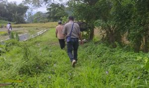 Lahan persawahan kurang lebih 1 Ha yang dituntut masyarakat Desa Simatohir agar dikembalikan oleh Pemko Padangsidimpuan. Foto : BP/Ist