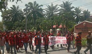 Ratusan Kader Pemuda Pancasila Unjuk Rasa di PN Stabat. Photo: Sangkot Sihotang