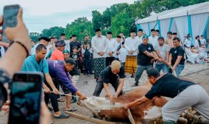 Penyembelihan hewan qurban Penko Medan. BP/erwan