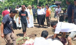 Bupati Tapsel Dolly Passribu dan Ketua TP PKK Ny Rosaliba Dolly Pasaribu saat meninjau pemotobgan hewan kurban di tiga lokasi di Tapsel, Senin (17/6-24). Foto : BP/Ist