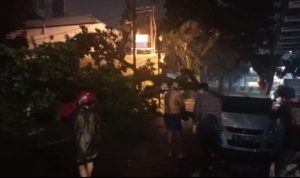 Pohon tumbang di Jalan Nibung raya, Kecamatan Medan Petisah pada pukul 00.00WIB, Jumat (21/6/2024) dini hari tadi. Hujan deras disertai angin kencang ini membuat sejumlah pohon tumbang dan beberapa ruas jalan terkena banjir. (BPBD Medan)