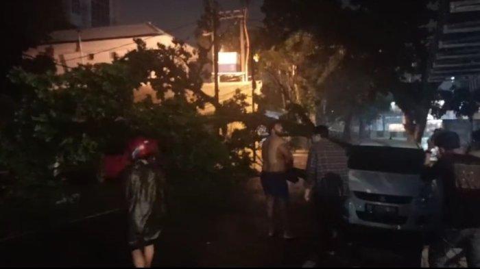 Pohon tumbang di Jalan Nibung raya, Kecamatan Medan Petisah pada pukul 00.00WIB, Jumat (21/6/2024) dini hari tadi. Hujan deras disertai angin kencang ini membuat sejumlah pohon tumbang dan beberapa ruas jalan terkena banjir. (BPBD Medan)