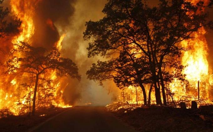 Siaga Karhutla Ditetapkan di Sumsel, 9 Daerah Siapkan Langkah Antisipasi