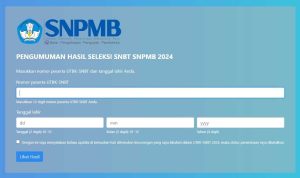 Cara Unduh Sertifikat UTBK SNBT 2024: Peserta Diimbau Segera Proses!