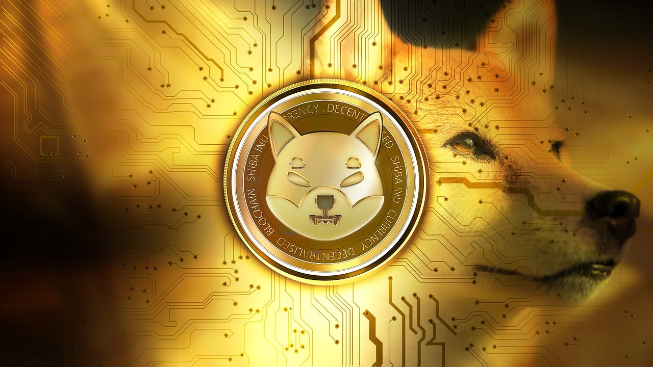Shiba Inu Menghadapi Tantangan Berat di Tengah Turunnya Nilai Cryptocurrency
