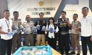 Bea Cukai Teluk Nibung berhasil menggagalkan upaya penyelundupan 156 ekor belangkas dan dua koli berisi 171 bungkus kecambah sawit yang hendak dikirim ke Malaysia.