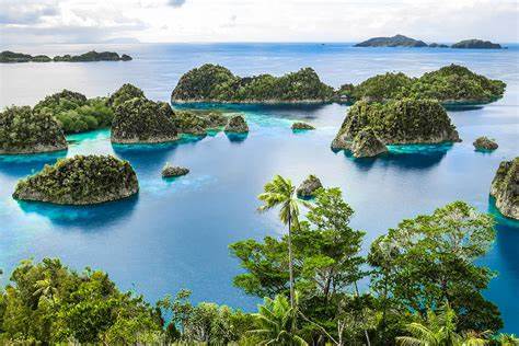 wisatawan di Raja Ampat, Papua Barat Daya.