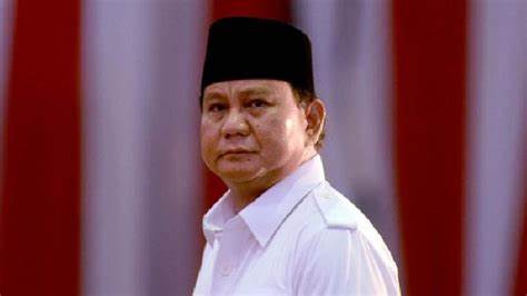 Prabowo mengungkapkan bahwa Jokowi tengah melatihnya secara intensif dengan mengikutsertakannya dalam rapat-rapat kabinet dan bahkan duduk di sebelahnya.