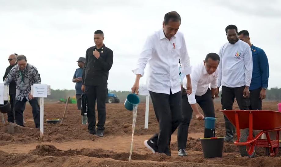 Presiden Joko Widodo bersama Ibu Negara Iriana Joko Widodo melakukan penanaman tebu perdana di lahan PT Global Papua Abadi, Kabupaten Merauke, Provinsi Papua Selatan.