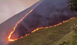 Foto kebakaran gunung daerah tongging.